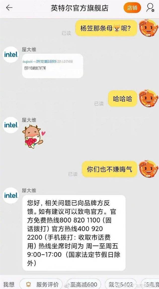 全網舉報，代言被撤，楊笠到底得罪了誰