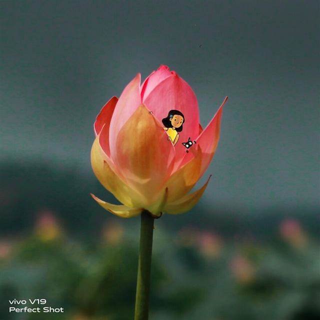 美麗小世界：花間的黃衣女孩