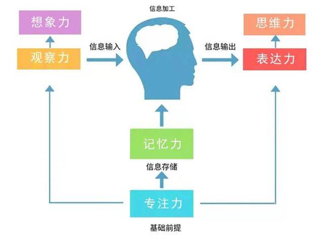 一口氣挖來20個培養專注力的親子游戲，快讓我叉會腰