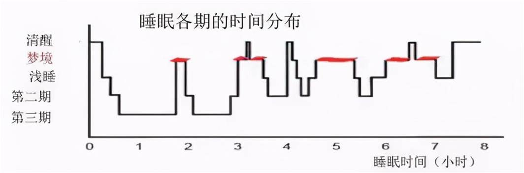 孩子幾點睡覺能長高？不是8點也不是9點