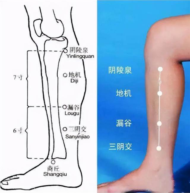 昨天小滿，最適合祛濕清火、泄濁氣、提高身體運作的能力