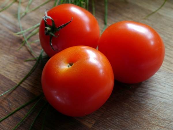 Tomato, Vegetable, Food, Fresh, Healthy, Organic, Red