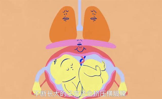 孫儷自曝孕期經歷，鄧超崩潰：別再說孕婦矯情了