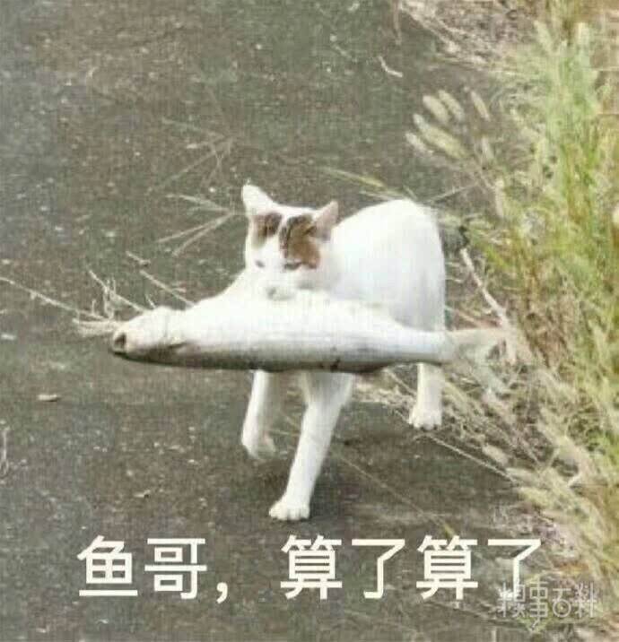 糗事圖片