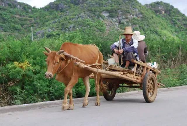 美軍裝備力量增強型靜音戰術推車！中國老農：這不就是我家板車嘛