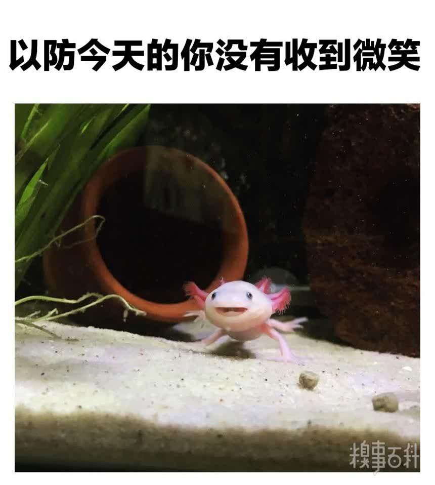 糗事圖片