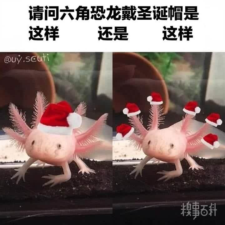 糗事圖片