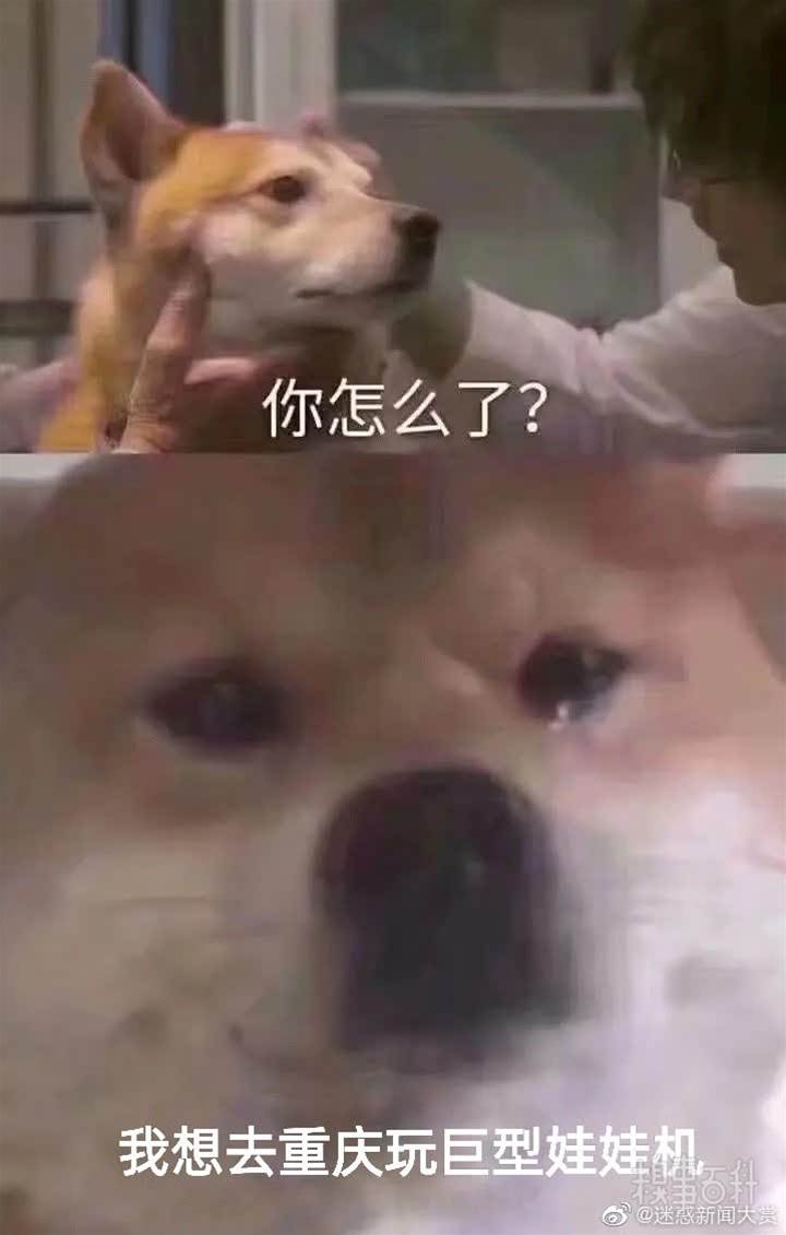 糗事圖片