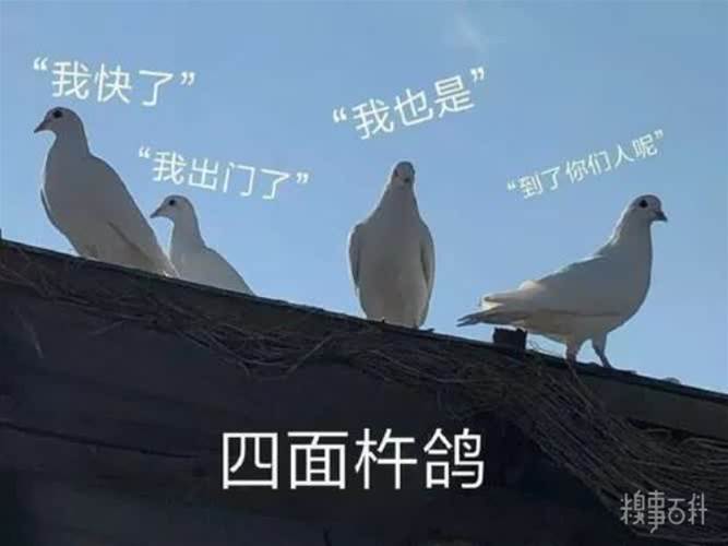 糗事圖片