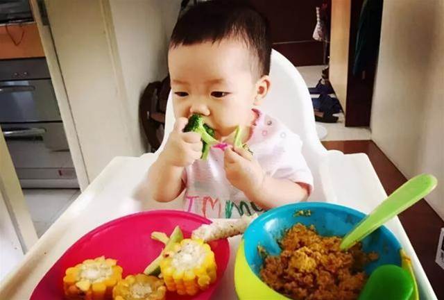 世衛組織：孩子一歲后吃大人飯？兒科醫生：前提要滿足4個條件