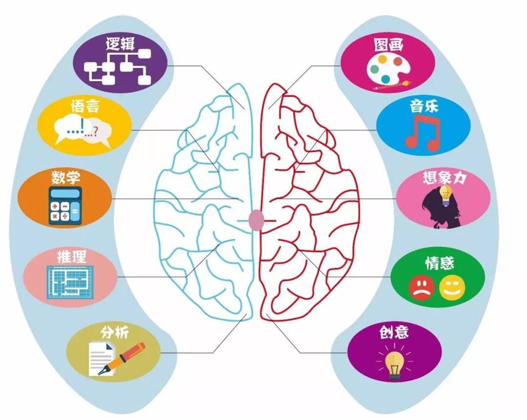 真的能讓孩子變“聰明”的三個訓練方法，有科學依據