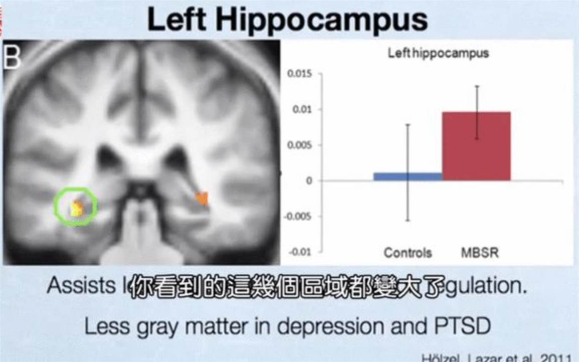 真的能讓孩子變“聰明”的三個訓練方法，有科學依據