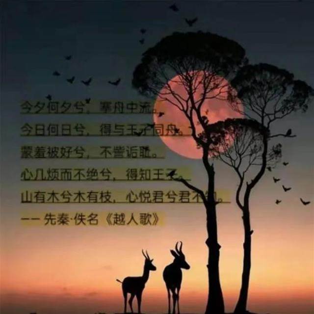 愛情有多美，詩就有多深情