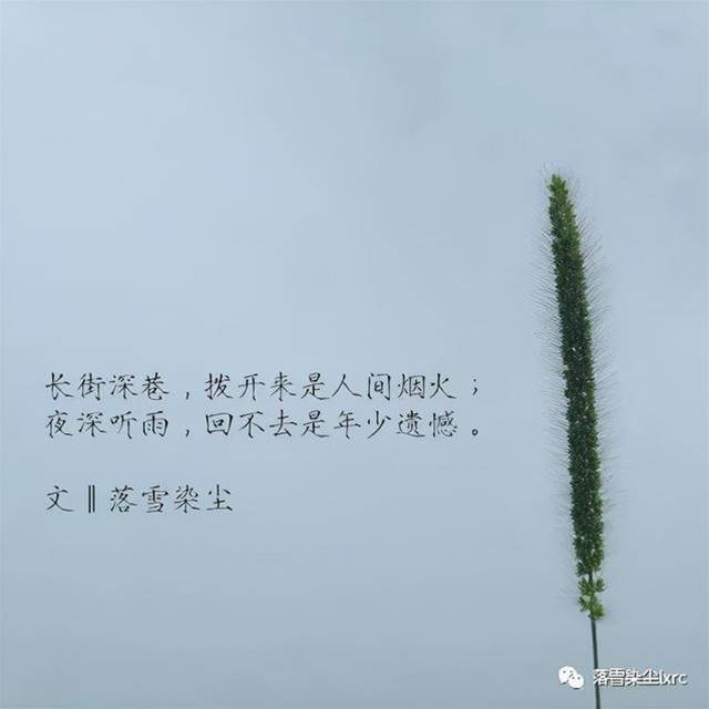 浮生書盡，墨痕未干