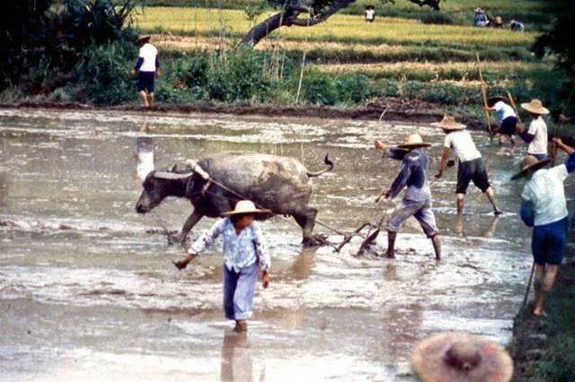 廣州1979年的37張照片