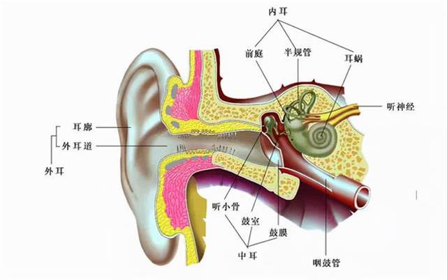 人造重力很難嗎？解決宇航員站不起來，為什么空間站不模擬重力？