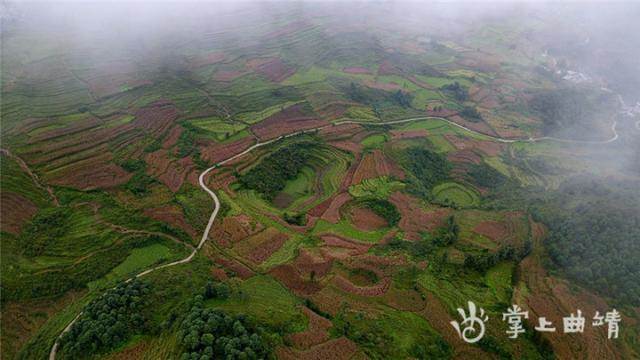 晨霧下的美麗家鄉