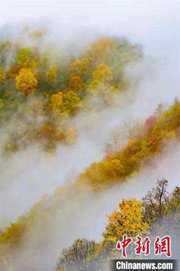 張張壁紙！快來下載屬于你的秋雪六盤山美景