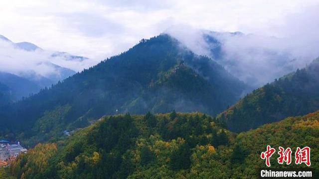 “隴右名山”興隆山秋日云海翻騰繚繞山間