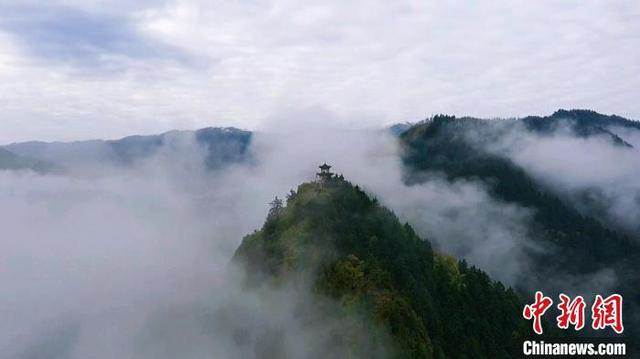 “隴右名山”興隆山秋日云海翻騰繚繞山間