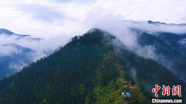 “隴右名山”興隆山秋日云海翻騰繚繞山間