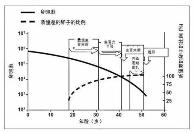 女性最佳生育年齡是多少歲？準備一胎二胎三胎的都來看看