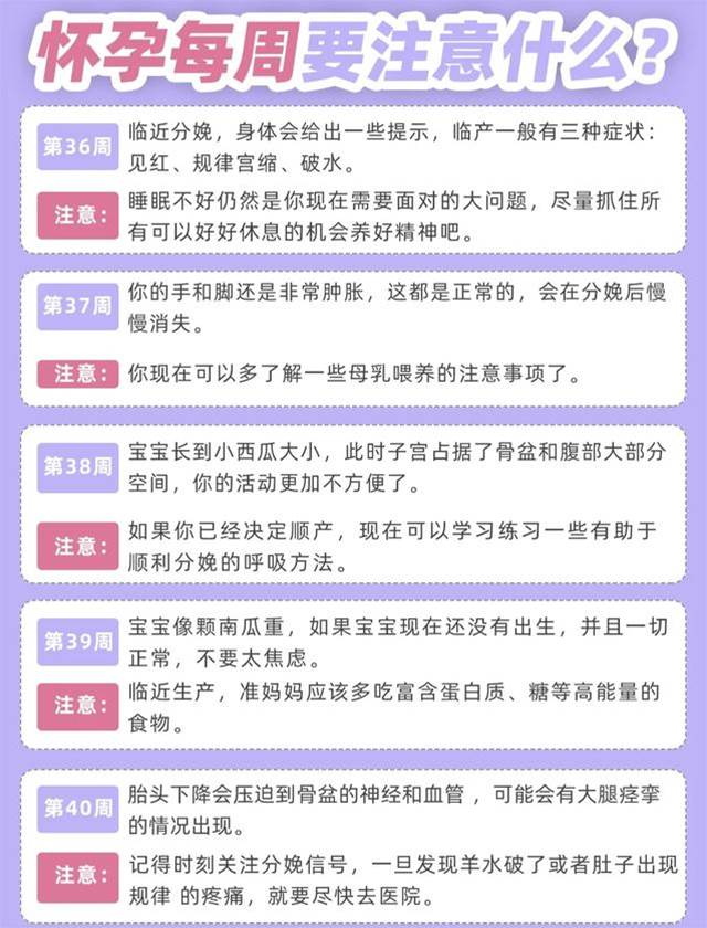 懷孕后1～40周的胎兒情況、身體變化和注意事項，孕媽對照自查