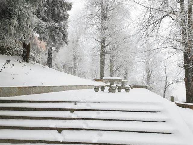 如何拍好雪景？掌握幾個小技巧輕松拍大片