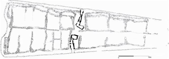 5700年前的家譜出爐，科學家揭示史前大家庭的基本結構