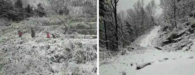 如何拍好雪景？掌握幾個小技巧輕松拍大片