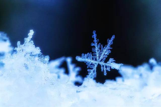 如何拍好雪景？掌握幾個小技巧輕松拍大片