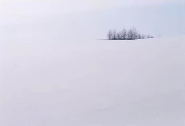 如何拍好雪景？掌握幾個小技巧輕松拍大片