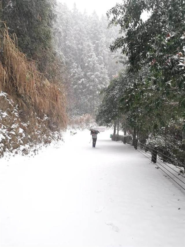 如何拍好雪景？掌握幾個小技巧輕松拍大片