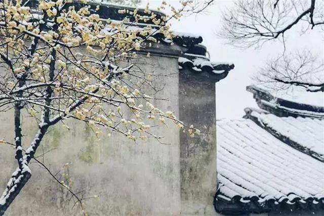 如何拍好雪景？掌握幾個小技巧輕松拍大片