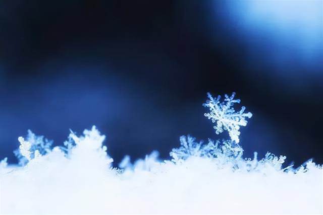 如何拍好雪景？掌握幾個小技巧輕松拍大片