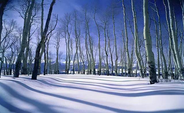 如何拍好雪景？掌握幾個小技巧輕松拍大片