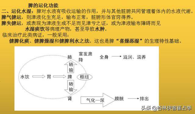 如何提升脾胃功能，增強人體陽氣？這幾個方法，讓你的脾胃更健康