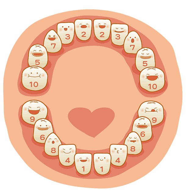 医生:这份出牙时间及顺序表家长需要知道!