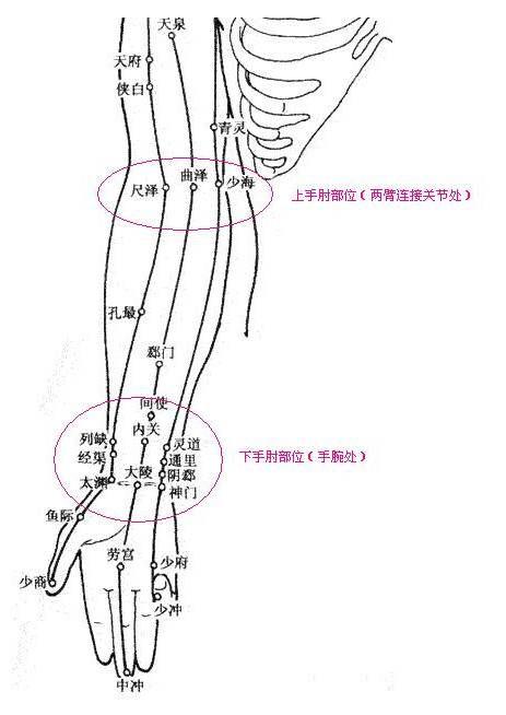 一般咳嗽二天就好转, 上肘是手臂弯处,尺泽,曲泽,少海位置,下肘是烈缺