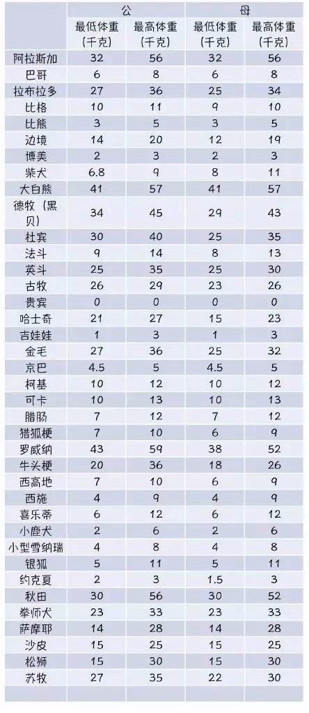 关於狗狗体重的疑问解析