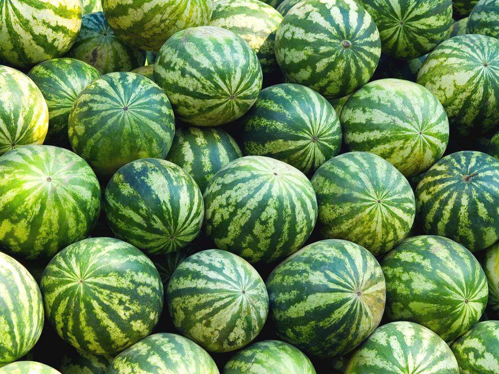 Here’s What You Need To Know To Pick The Perfect Watermelon