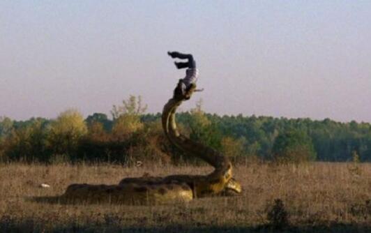 吓尿!胆小勿看:蟒蛇吃人事件