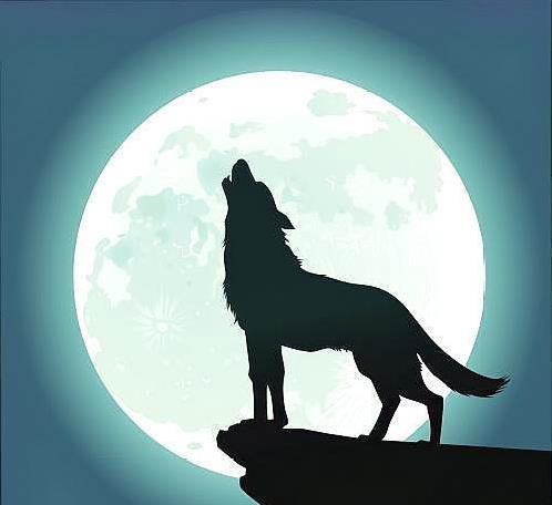 以狼王为核心,以头狼,大狼,巨狼为团队管理成员,整个狼群极有组织地